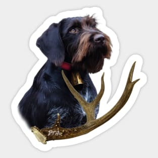 German Wirehaired Pointer Sticker